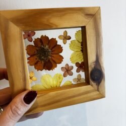Quadro Cosmos