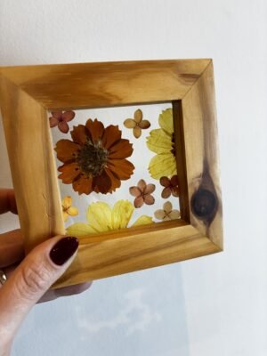 Quadro Cosmos