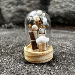 Redoma P - Piccolo Miracolo