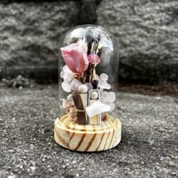 Redoma M - Piccolo Miracolo