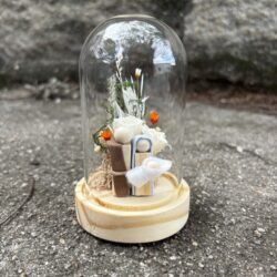 Redoma M - Piccolo Miracolo