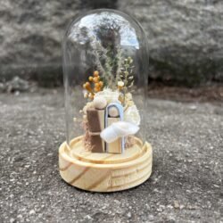 Redoma M - Piccolo Miracolo