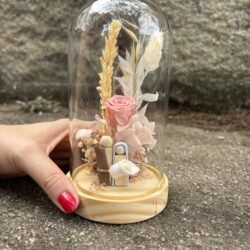 Redoma G - Piccolo Miracolo