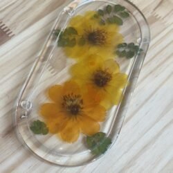 Cosmos