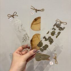 Kit - marca páginas
