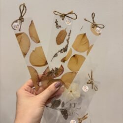 Kit - marca páginas