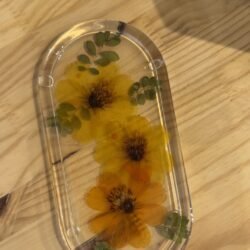 Cosmos