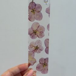 Violetas