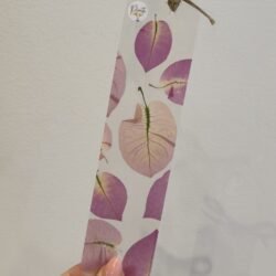 Primavera