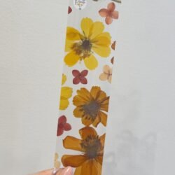 Cosmos